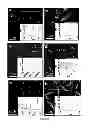 Fig. 12 - Oligo- and polyfurans, preparation and uses thereof