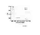 Fig. 17 - Oligo- and polyfurans, preparation and uses thereof