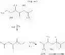 Fig. 05 - EPOXIDATION OF GLYCEROL AND DERIVATIVES THEREFROM