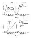 Fig. 04 - Synthesis and Surface Functionalization of Particles