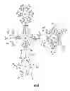 Fig. 09 - Synthesis and Surface Functionalization of Particles