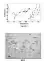 Fig. 13 - Synthesis and Surface Functionalization of Particles