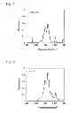 Fig. 02 - Method for producing organic compound having sulfo group, method for producing liquid composition, and method for hydrolyzing organic compound having fluorosulfonyl group