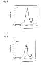 Fig. 04 - Method for producing organic compound having sulfo group, method for producing liquid composition, and method for hydrolyzing organic compound having fluorosulfonyl group