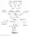 Fig. 02 - METHOD OF MAKING ADIPIC ACID USING NANO CATALYST