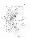 Fig. 08 - Kit for Placing Fixation Devices