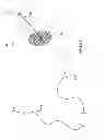 Fig. 23 - Kit for Placing Fixation Devices