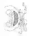 Fig. 60 - Kit for Placing Fixation Devices