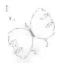 Fig. 75 - Kit for Placing Fixation Devices