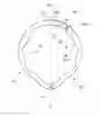 Fig. 08 - Ring for enhancing male functions