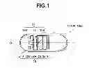 Fig. 02 - Capsule type medical device