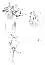 Fig. 06 - Surgical access system and related methods