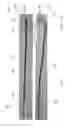 Fig. 03 - GUIDEWIRE WITH ADJUSTABLE TIP