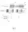 Fig. 09 - Biological tissue function analysis