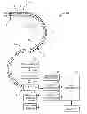 Fig. 01 - DETERMINING POSITION OF MEDICAL DEVICE IN BRANCHED ANATOMICAL STRUCTURE