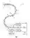 Fig. 02 - DETERMINING POSITION OF MEDICAL DEVICE IN BRANCHED ANATOMICAL STRUCTURE