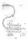 Fig. 03 - DETERMINING POSITION OF MEDICAL DEVICE IN BRANCHED ANATOMICAL STRUCTURE