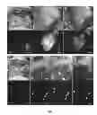 Fig. 05 - PORTABLE DIGITAL IMAGING SYSTEM FOR FLUORESCENCE-GUIDED SURGERY