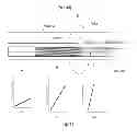 Fig. 02 - Smooth transition catheters
