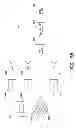 Fig. 09 - TRANSMISSIVE IMAGING AND RELATED APPARATUS AND METHODS