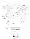 Fig. 52 - TRANSMISSIVE IMAGING AND RELATED APPARATUS AND METHODS