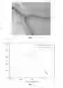 Fig. 02 - METHODS AND DEVICES SUITABLE FOR IMAGING BLOOD-CONTAINING TISSUE