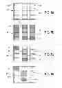 Fig. 06 - System and method for extracting physiological information from remotely detected electromagnetic radiation