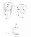 Fig. 03 - Device for anchoring an endoluminal sleeve in the GI tract