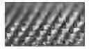 Fig. 01 - Microarray for delivery of therapeutic agent and methods of use