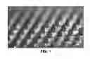 Fig. 02 - Microarray for delivery of therapeutic agent and methods of use