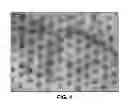 Fig. 05 - Microarray for delivery of therapeutic agent and methods of use