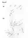 Fig. 33 - Dosing unit for an ambulatory infusion device