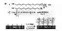Fig. 01 - Tunable Nonfouling Surface Of Oligoethylene Glycol