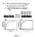 Fig. 02 - Tunable Nonfouling Surface Of Oligoethylene Glycol