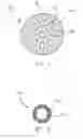 Fig. 09 - Wound packing device and methods