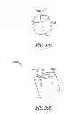 Fig. 26 - Lacrimal implants and related methods