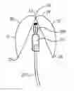 Fig. 01 - COVER FOR AN ATRAUMATIC CATHETER HUB AND A METHOD FOR ITS USE