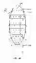 Fig. 58 - SYSTEMS, APPARATUS, METHODS AND PROCEDURES FOR THE NON-INVASIVE TREATMENT OF TISSUE USING MICROWAVE ENERGY