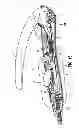 Fig. 07 - Pediatric combination surgical device