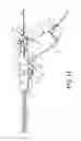Fig. 12 - Automated, selectable, soft tissue excision biopsy devices and methods