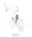 Fig. 07 - ELECTROSTIMULATION IN TREATING CEREBROVASCULAR CONDITIONS