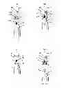Fig. 46 - Suture passing instrumentation and methods of use thereof