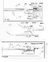 Fig. 58 - Suture passing instrumentation and methods of use thereof