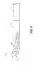 Fig. 08 - DISCECTOMY DEVICES AND METHODS