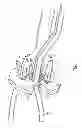 Fig. 14 - System for securing sutures