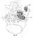 Fig. 22 - System and Method for Bone Anchorage