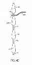 Fig. 08 - DEVICE AND ACCESSORIES FOR LIMITING FLEXION
