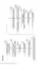 Fig. 16 - IMPLANT FOR OSTEOTOMY, TOOL FOR INSERTING THE IMPLANT, AND METHOD OF INSERTING THE IMPLANT USING THE TOOL