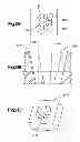 Fig. 22 - Highly-versatile variable-angle bone plate system