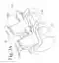 Fig. 35 - Devices and methods for dynamic fixation of skeletal structure